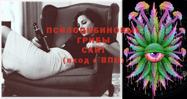 метадон Алексин