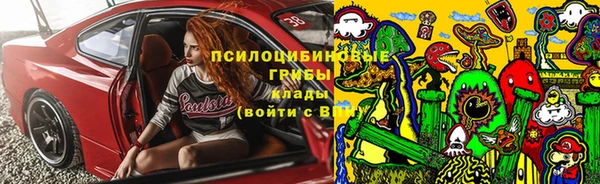 метадон Алексин