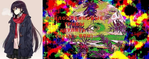 метадон Алексин
