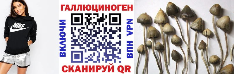 Псилоцибиновые грибы прущие грибы  omg онион  Ревда 
